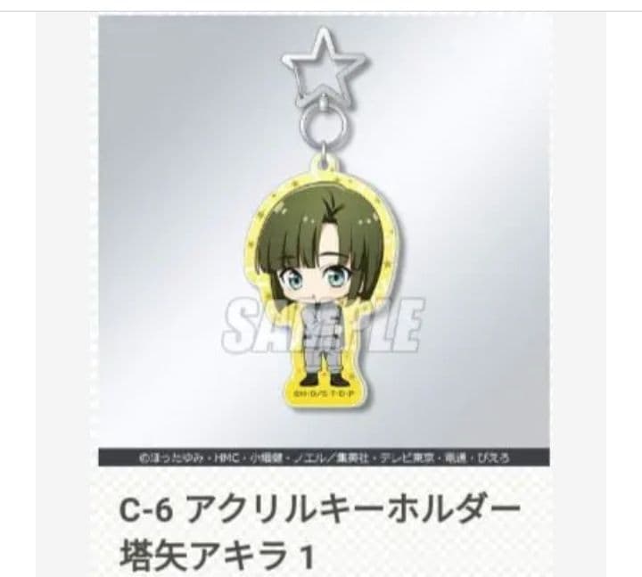 くじ引き堂 ヒカルの碁 アクリルキーホルダー 10種 ヒカル アキラ