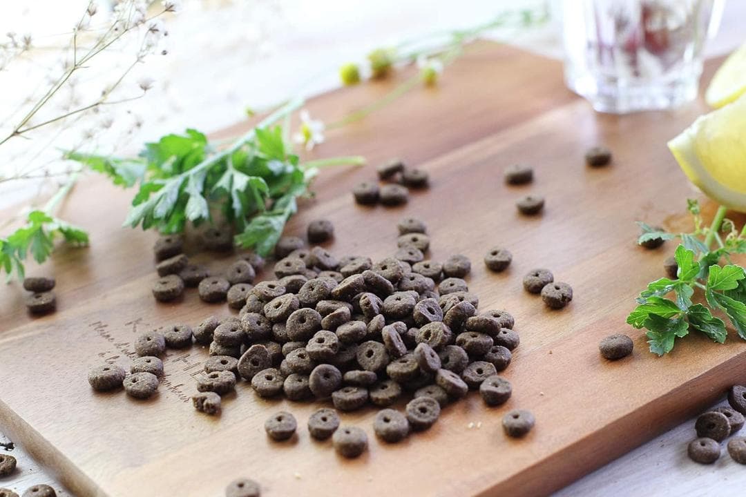 モグワン Mog Wan ドッグフード 1.8kg ２袋 無添加 グルテンフリー