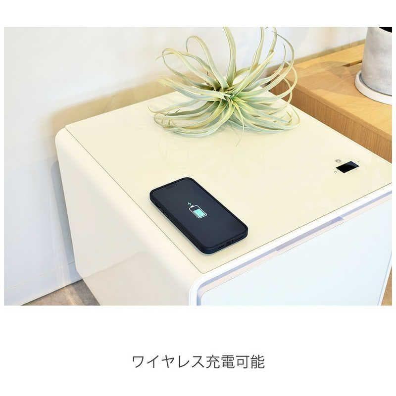 ロイヤル スマートテーブル SMART TABLE LOOZER　STB30