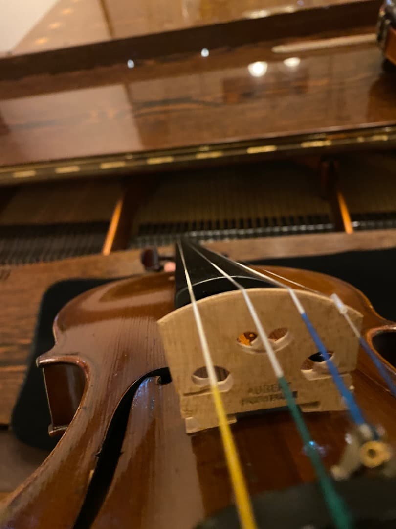 Masakichi Suzuki violin. No.W5 1923-1933