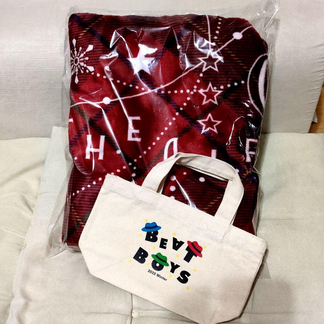 THE ALFEE もこもこブランケット BEATBOYSミニトートバッグセット