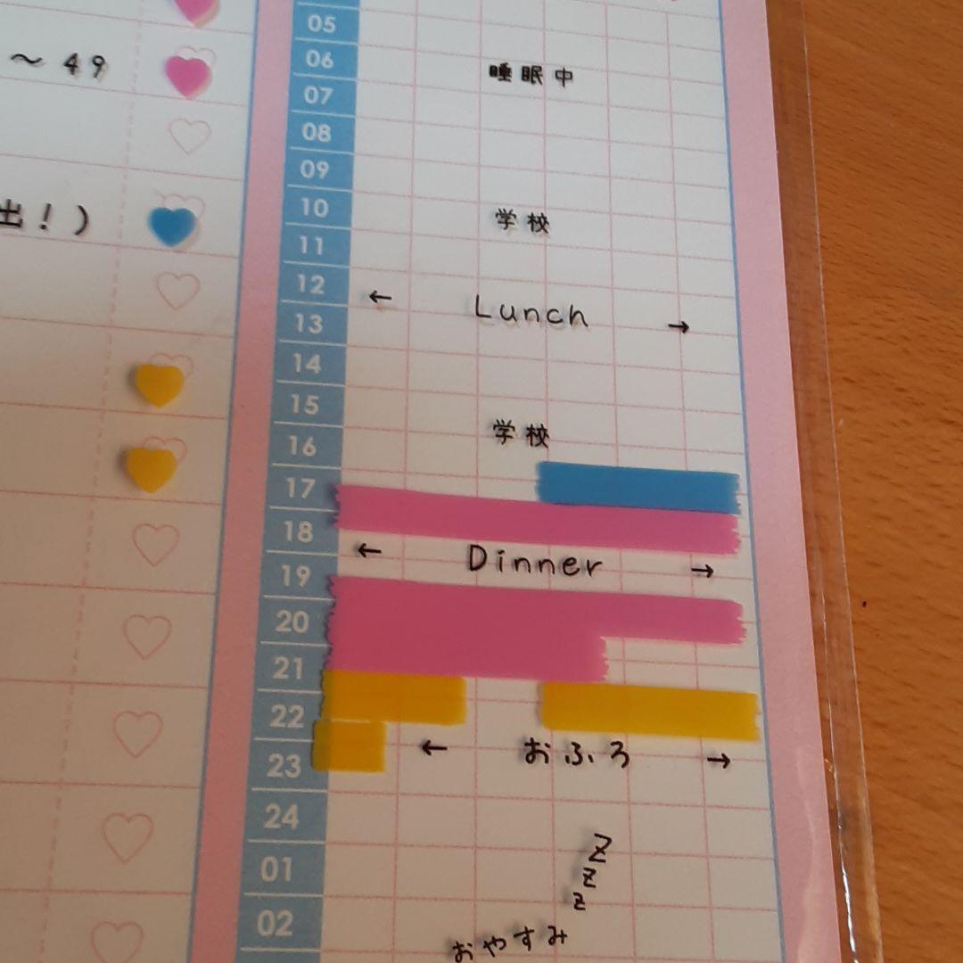 ❤計画好き(❁ᴗ͈ˬᴗ͈)新品 スタディープランナー用紙