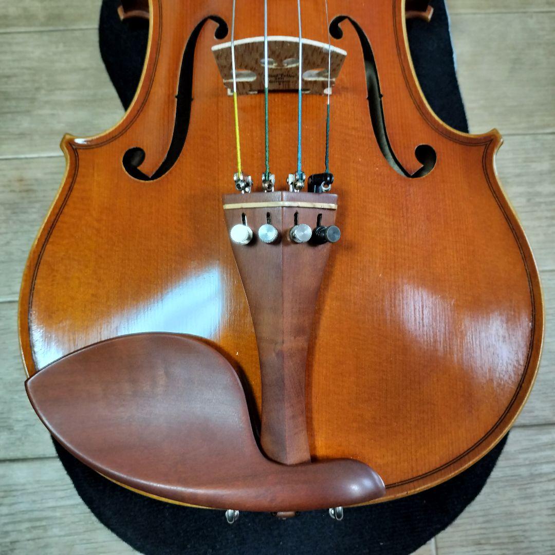 ピグマリウス スタンダード 4/4 2020 イーストマンケース付