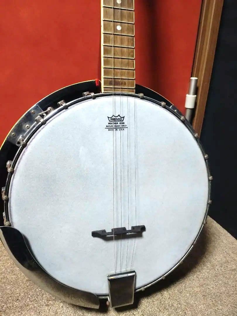 ARIA ５弦バンジョー