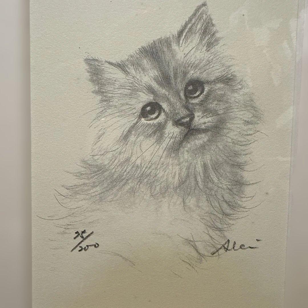 八代亜紀さんのリトグラフ 子猫の絵 デッサン チロたん