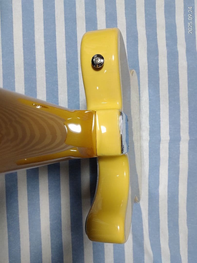 GrassRoots by ESPのテレキャスタイプG-TE-50R使用感少美品