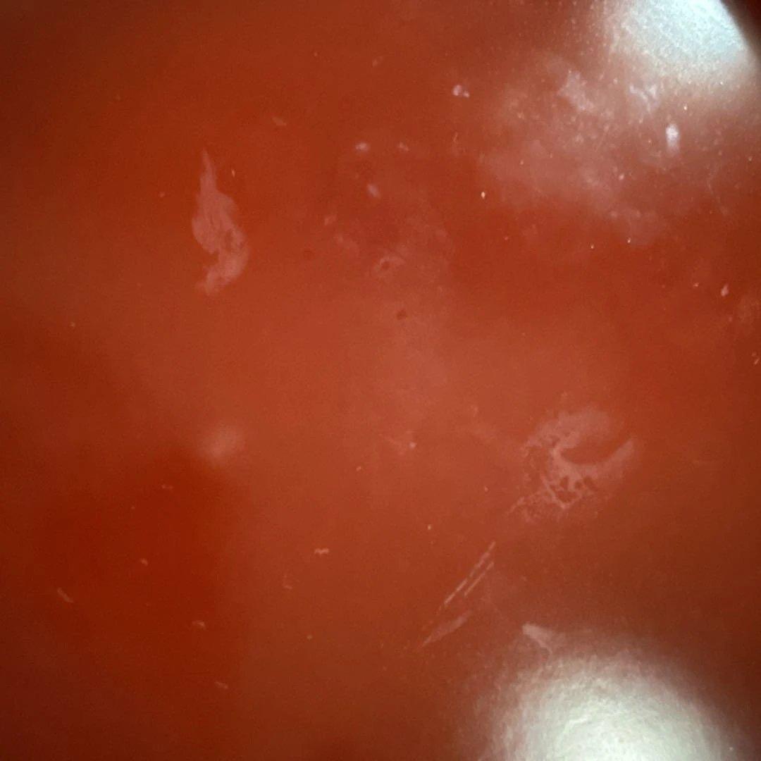 漆器 高知の漆作家の器