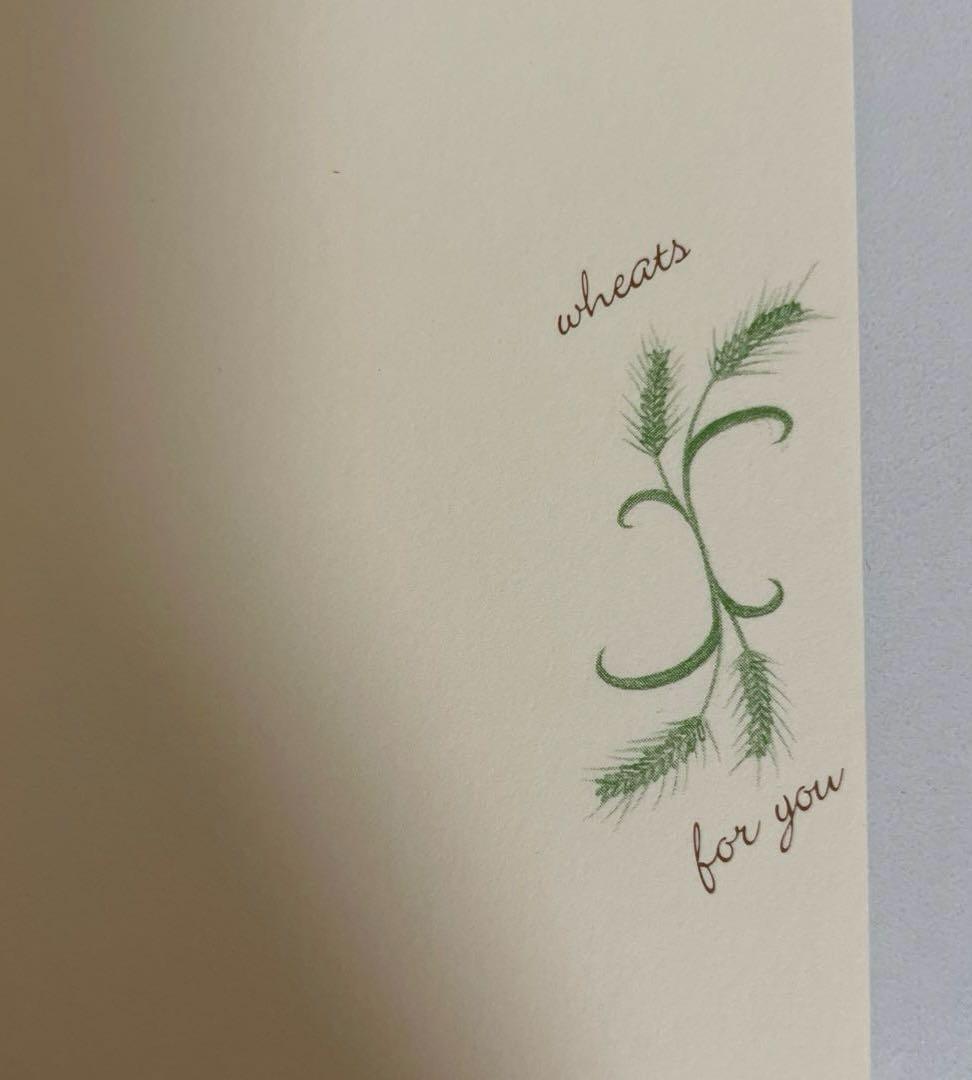 【匿名配送】未使用ACCOUNT BOOK アカウントブック お小遣い帳　レア