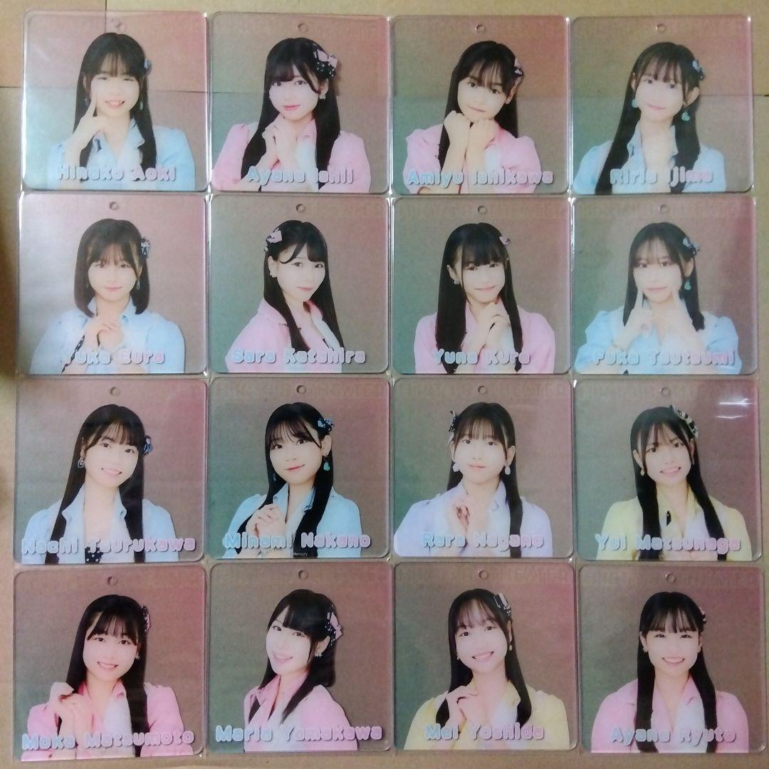 匿名配送】HKT48 推しドリンク 第15弾コースター 7期生16枚セット