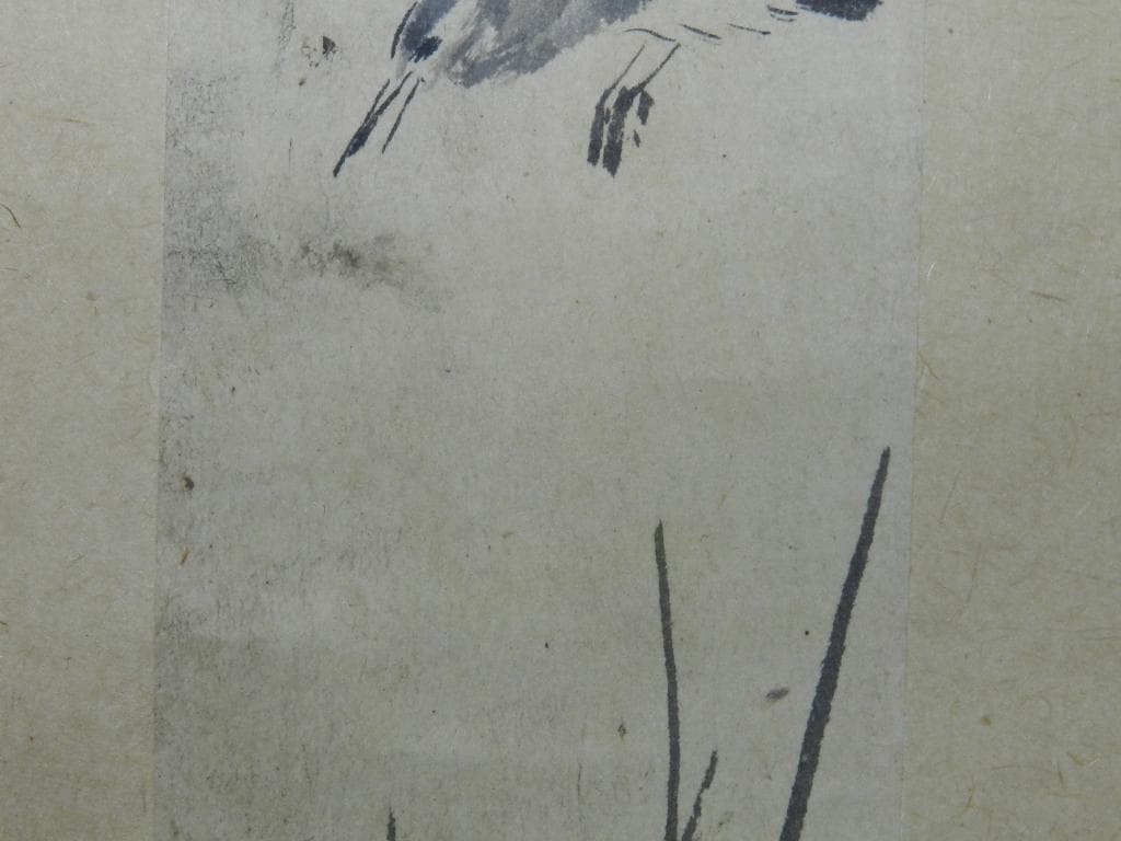 MR1 年末年始感謝セール、￼谷文晁 【五位鷺に芦】 真筆 茶掛け 掛軸