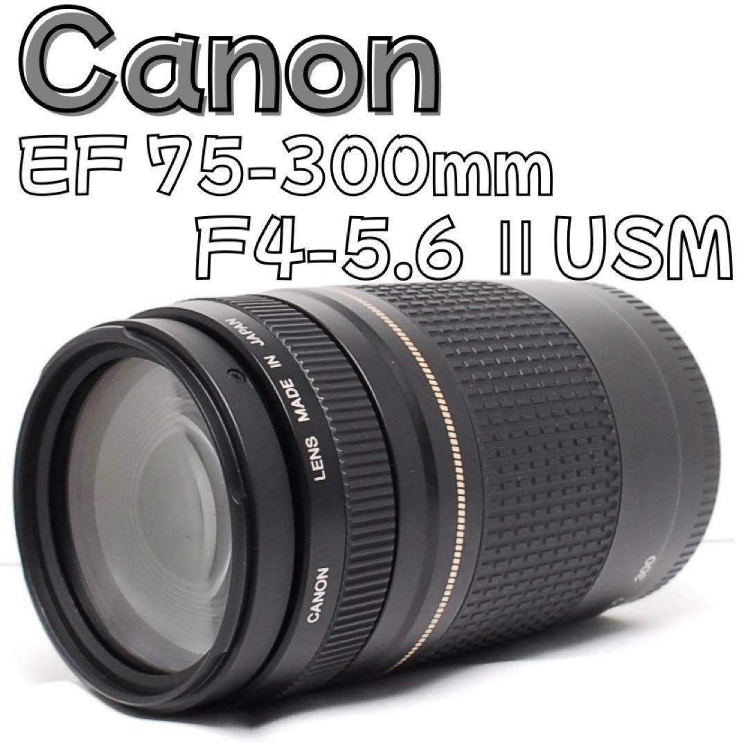 スポーツ撮影に最適✨️Canon 75-300mm F4-5.6 Ⅱ USM 望 Amazon | Canon キヤノン ズームレンズ EF 75-300mm F4-5.6 Ⅱ USM