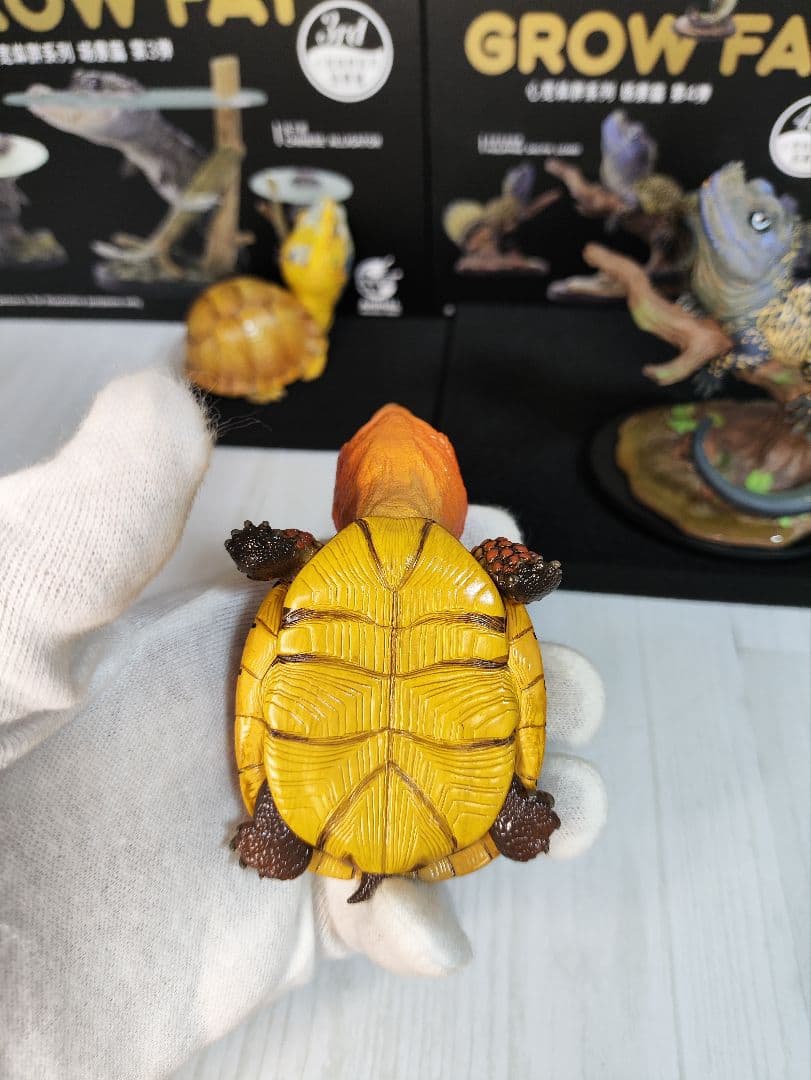 【動物の惑星】★上海展覧会限定ハコガメ2種類★ジオラマ第3、4弾! フィギュア