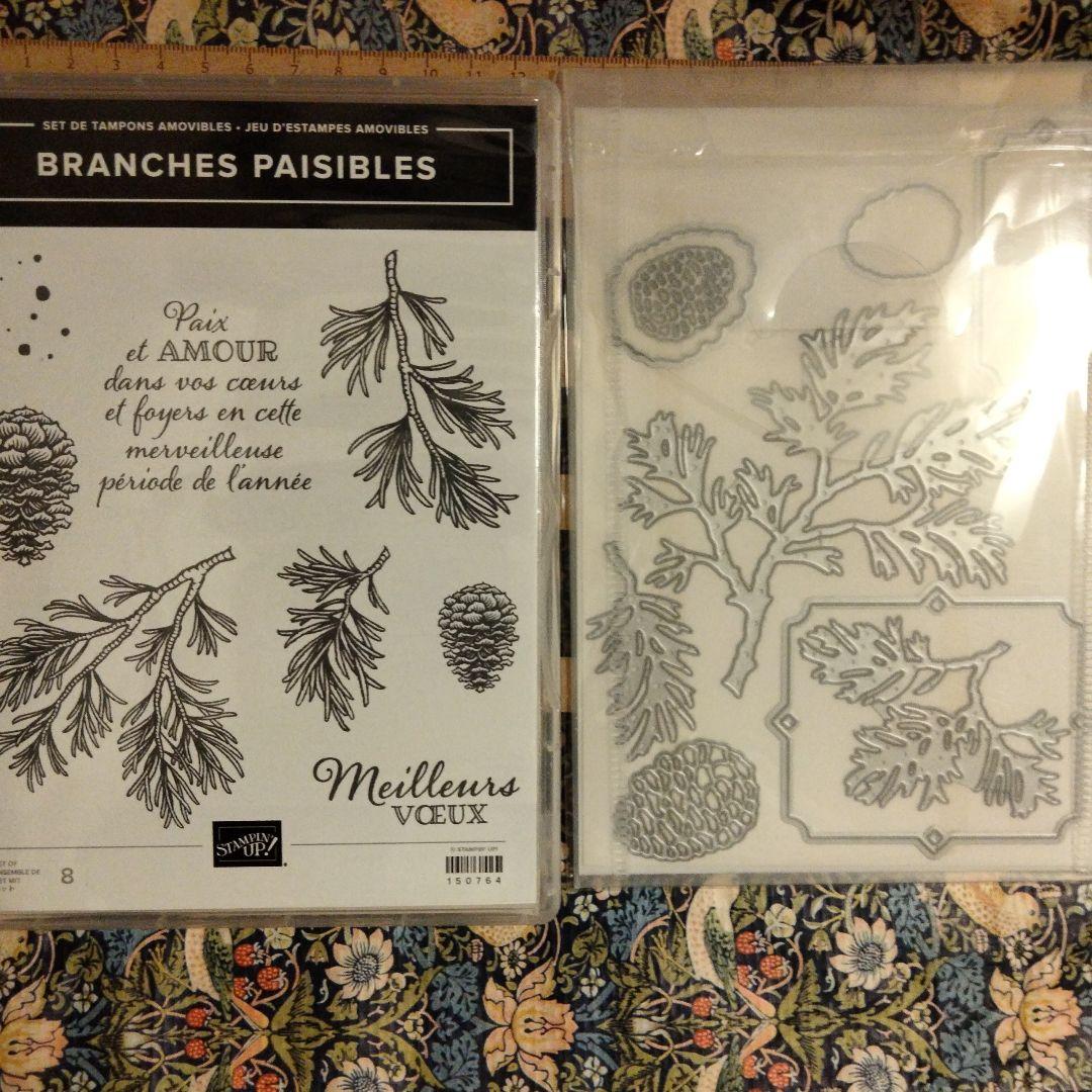 Stampin' Up!（スタンピンアップ）6月の新製品をご紹介します！ |