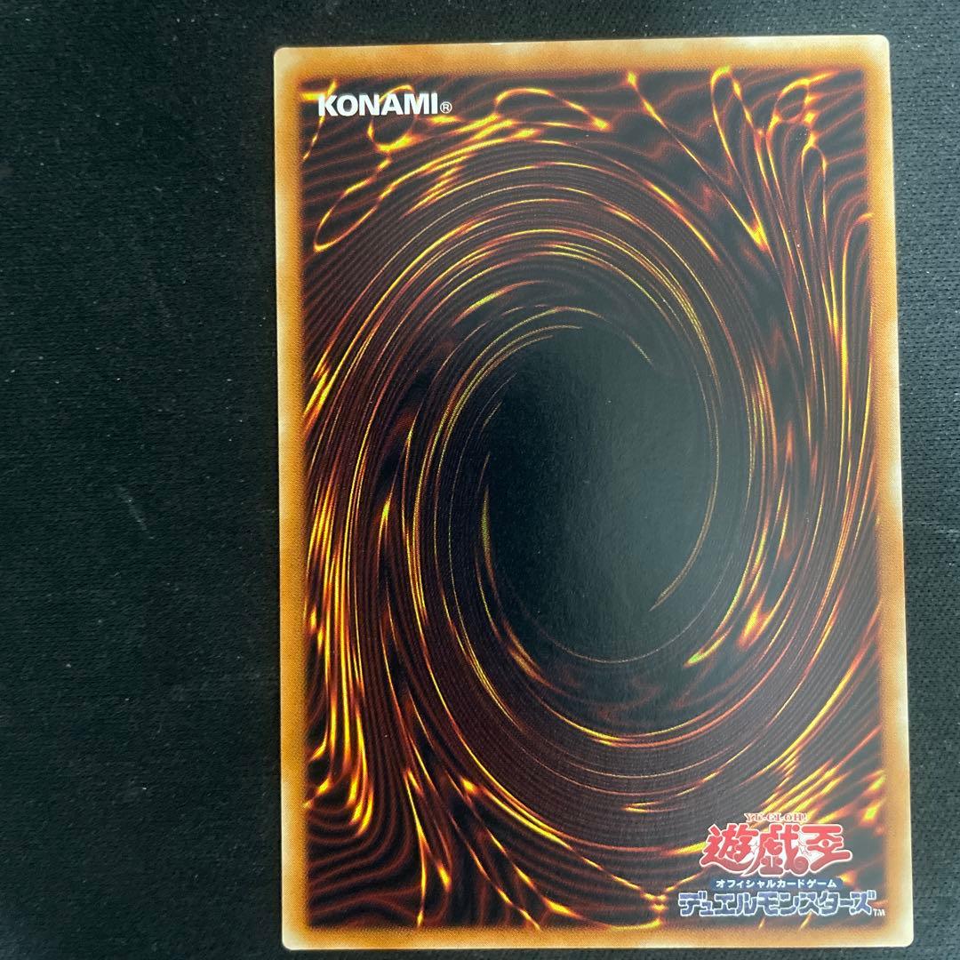 取引希望額下さい 真紅眼の黒竜 リボルバードラゴン ブラックパラディン レリーフ