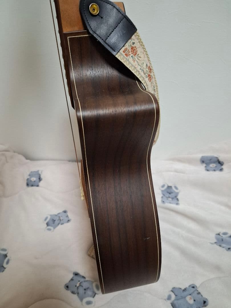 専用）アコースティックギター ROSSO R-5 IS18982909 - メルカリ