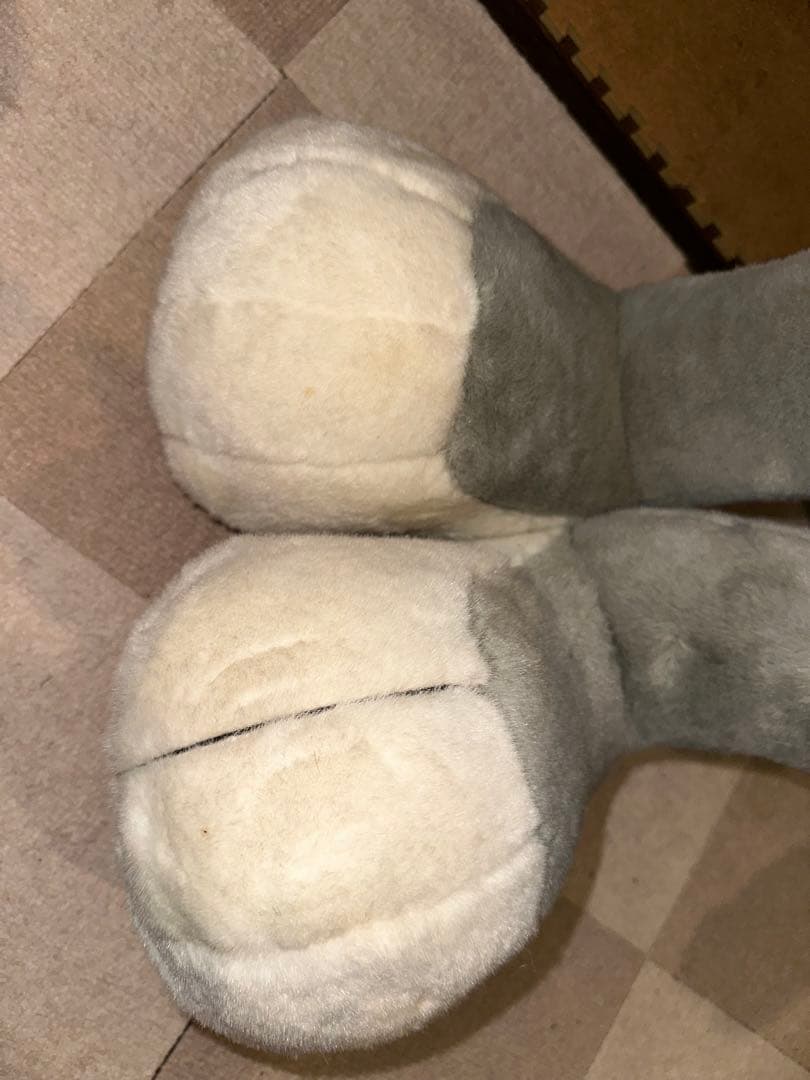 特大バックスバーニー　正規品