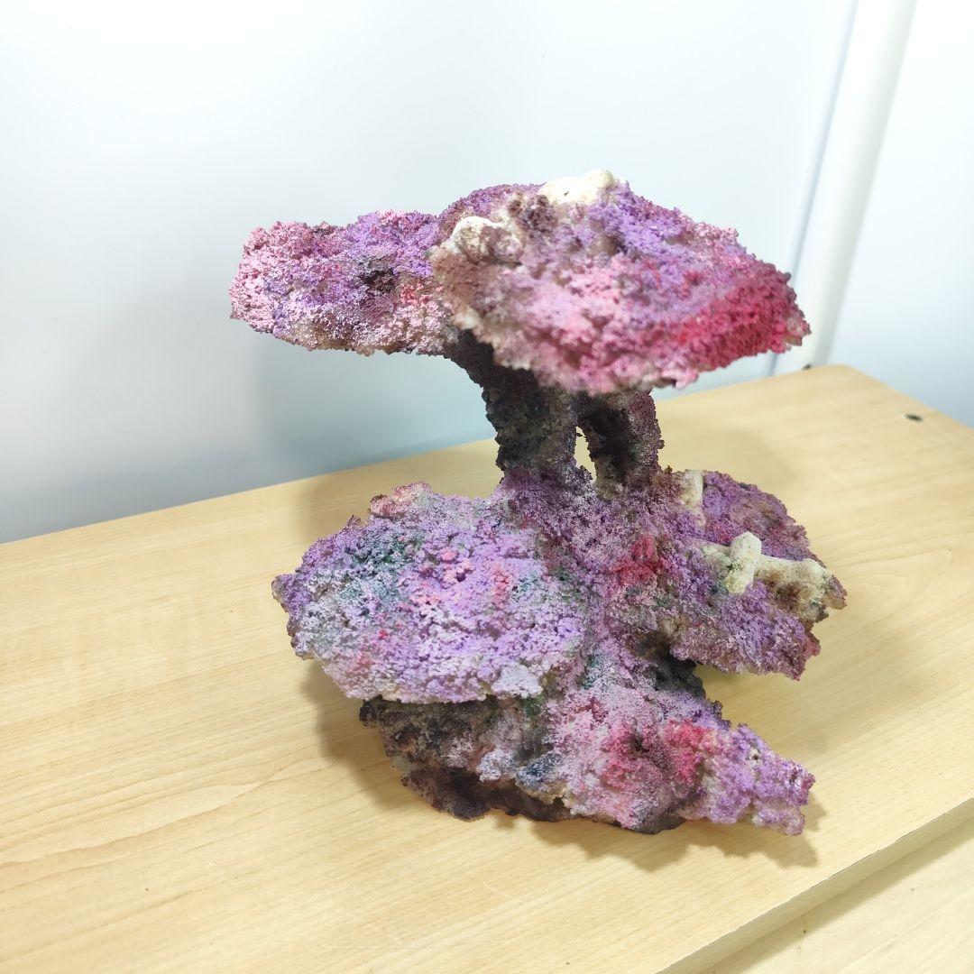 ✏新品アク抜き不要 人工ライブロック レプリカ 30cmキューブ以上海水