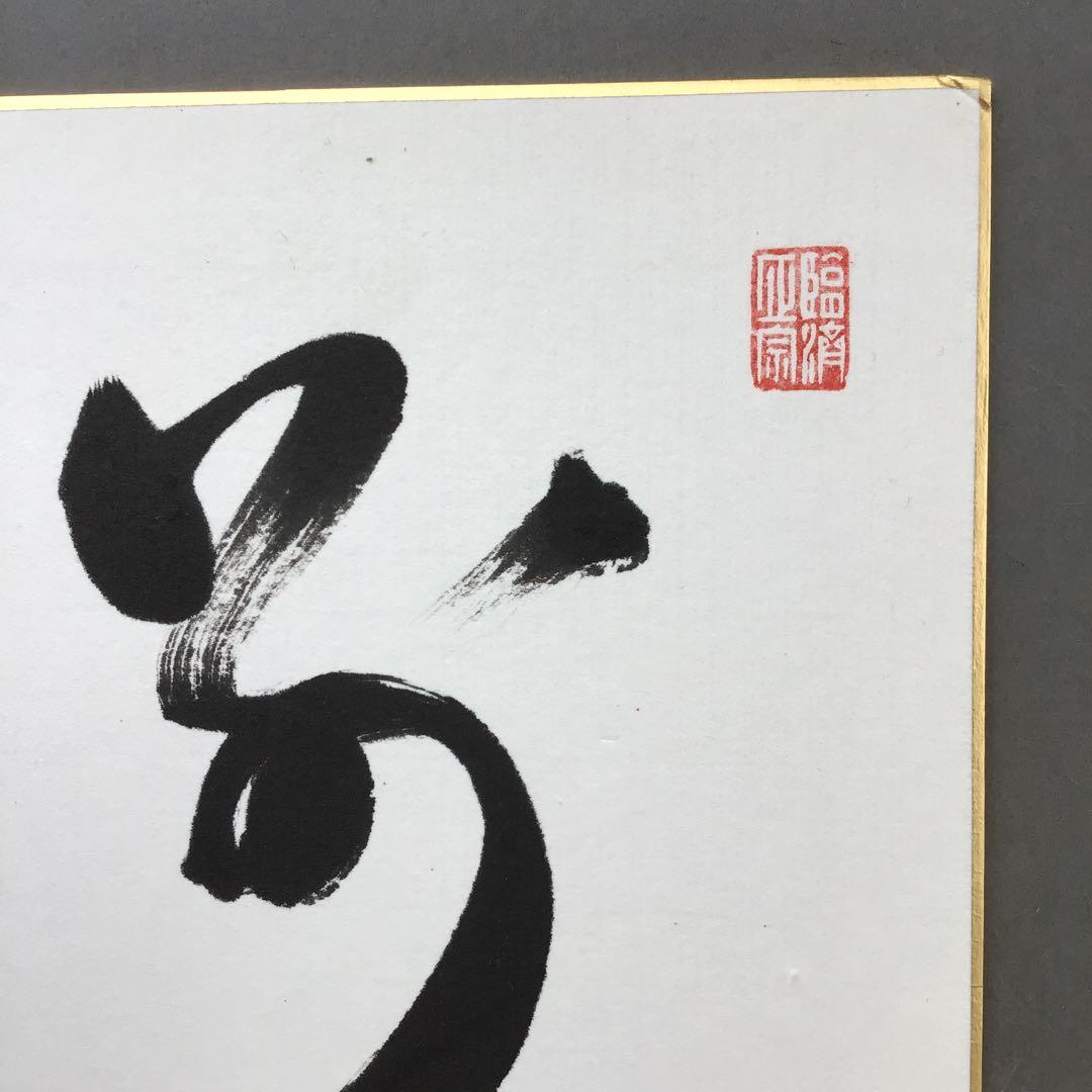 色紙 臨済宗相国寺 記念 松國大龍 畳紙 配送用袋 S1030SSD