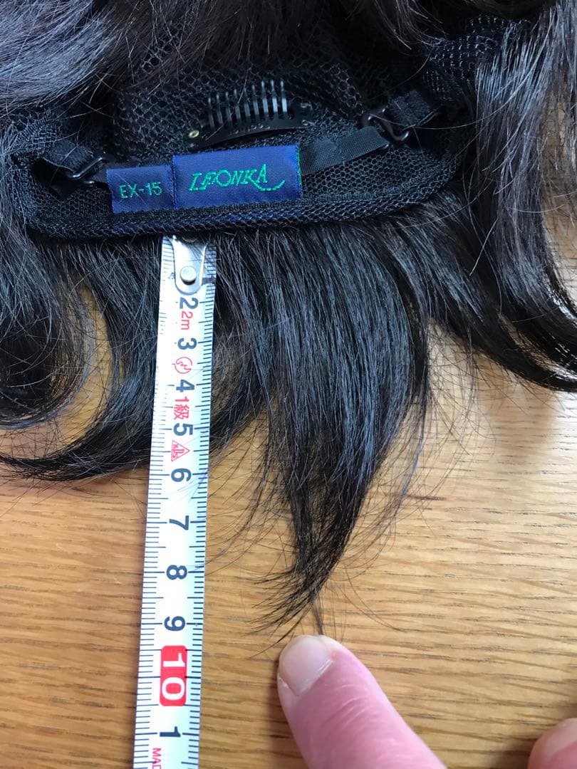 フェザー レオンカウィッグ EX-15 F4モダアクリル人毛