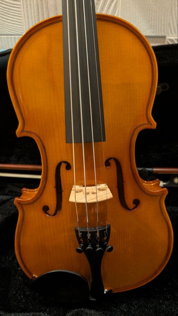 ヴァイオリン CARLO GIORDANO VS-1 1/4 バイオリンセット