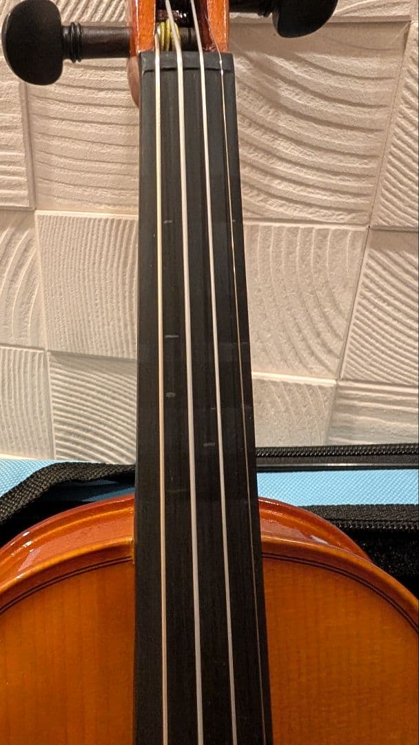 ヴァイオリン CARLO GIORDANO VS-1 1/4 バイオリンセット