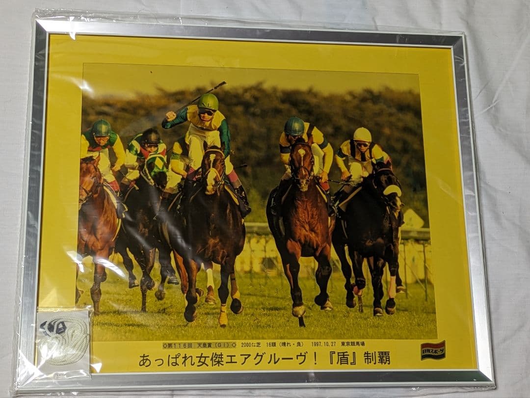 エアグルーヴ 武豊 天皇賞秋 競走馬 写真パネル 額縁入り スポーツ新聞