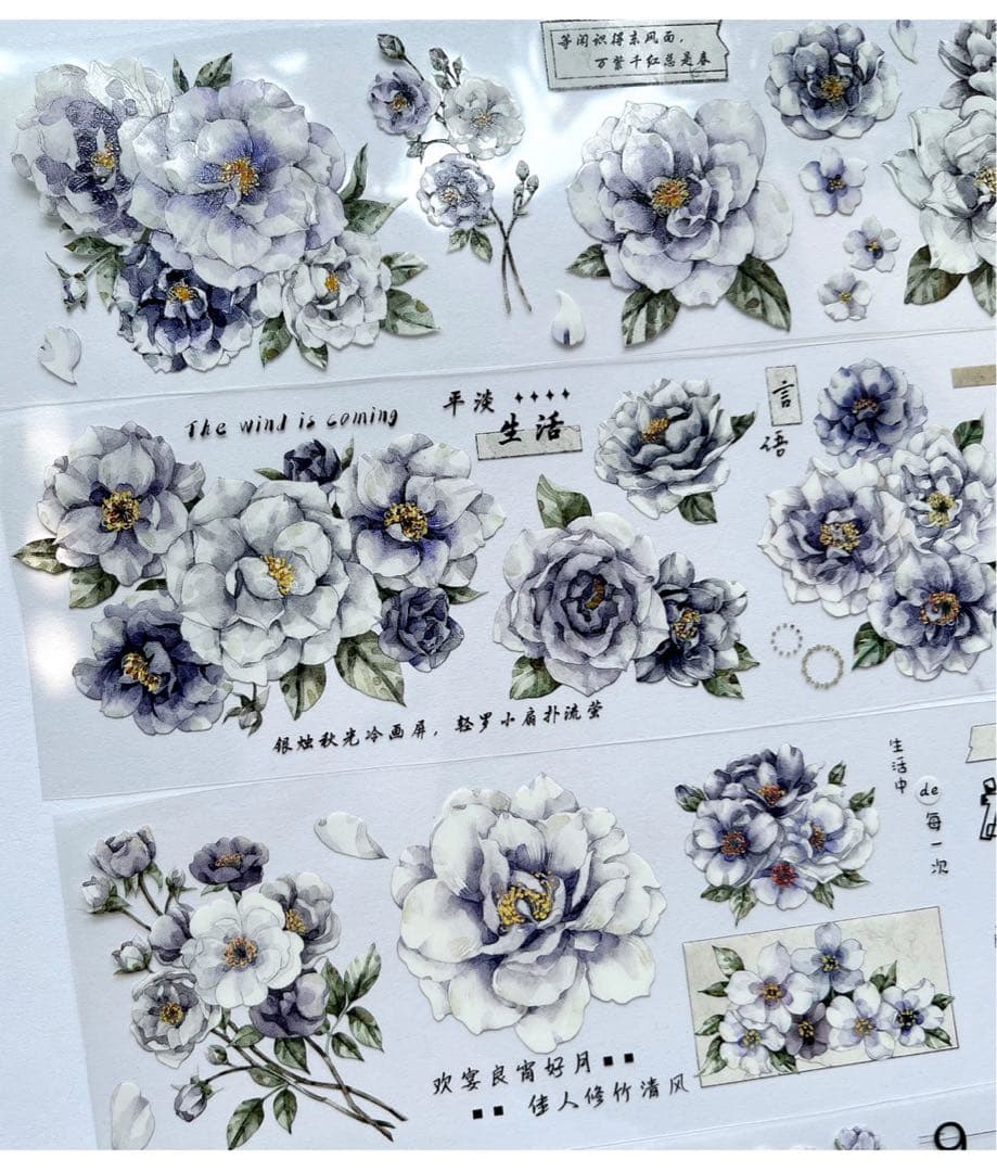 ⭐️SALE⭐️ 自元素文创《墨染花梨》海外マスキングテープ　マステ 【2621】