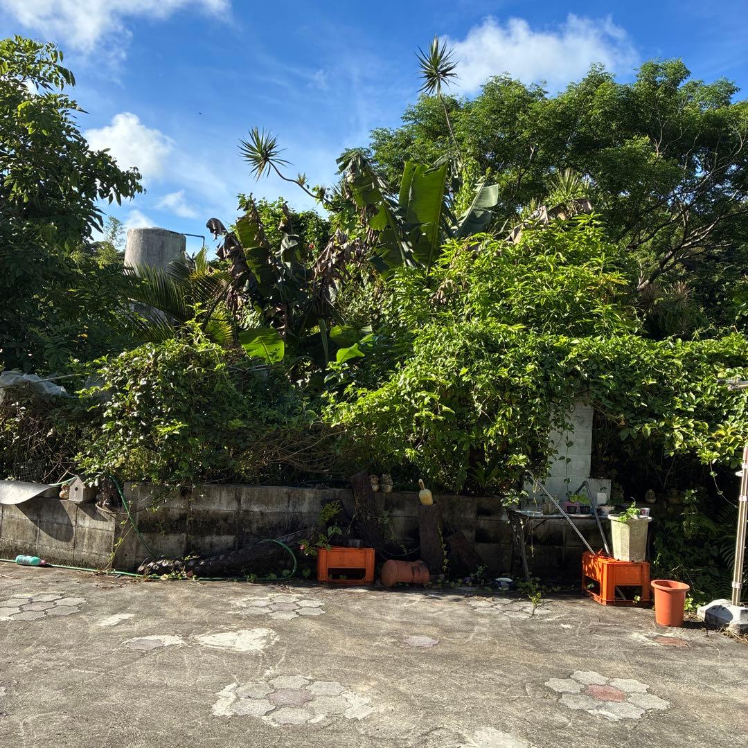 機織り機 そうこう 糸車 その他 沖縄限定