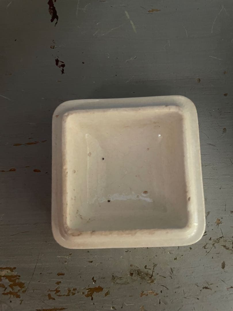 激レア イギリスアンティーク TOOTH PASTE ジャー 陶器 正方形