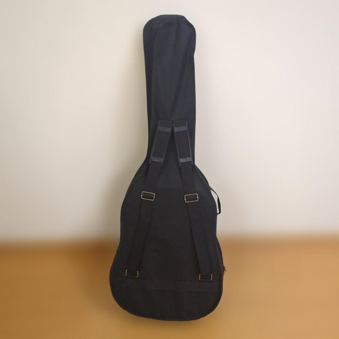 絶版・美品LumberランバーLD30VSアコースティックギター純正ケース＆弦付