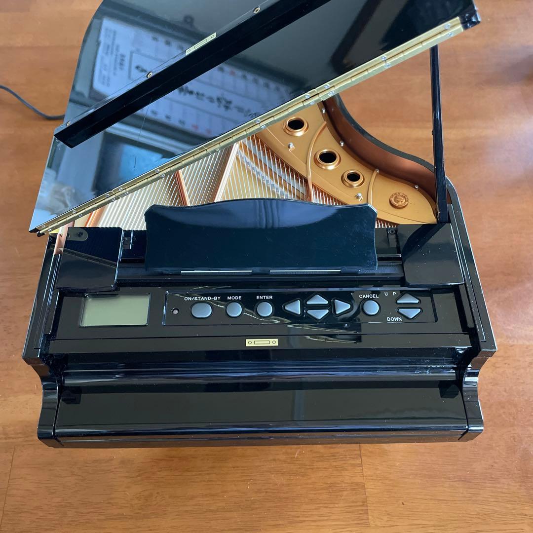 シュードキベレ [TB45] 三葉虫 超希少種 レア