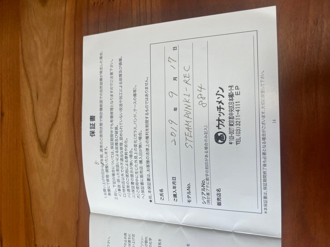 シャウボーグ SCHAUMBURG WATCH STEAMPUNC1-REC