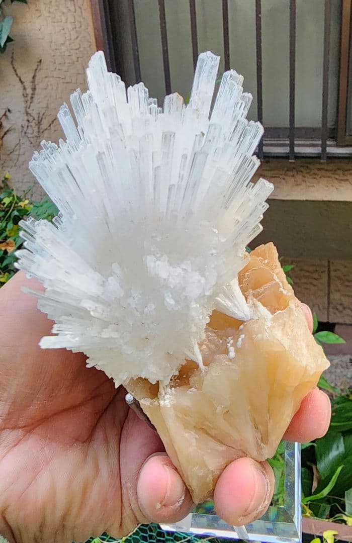 ❥道3921 TOKYO2020 P&G 純金カード 3g 額装品