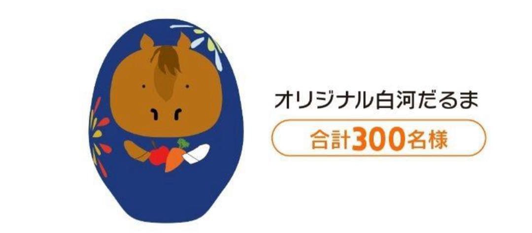 白河だるま 福島競馬場 welcomeチャンス 特別賞 - メルカリ