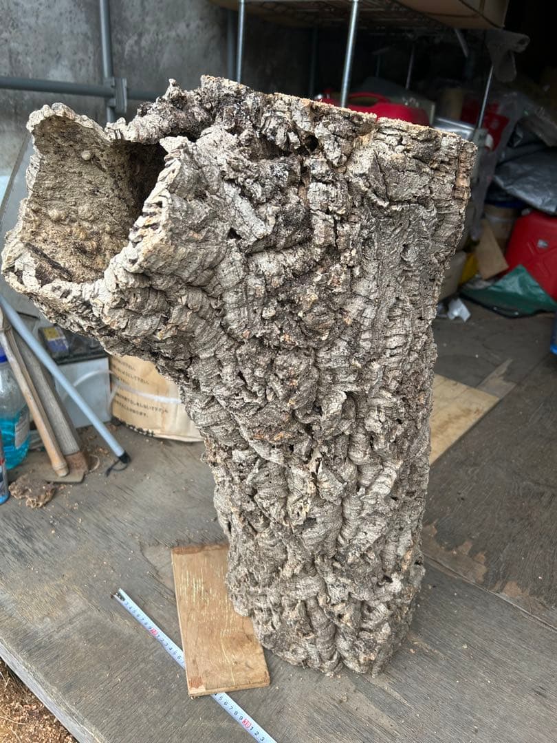 ポルトガル産コルク樹皮 PL-1002-103L