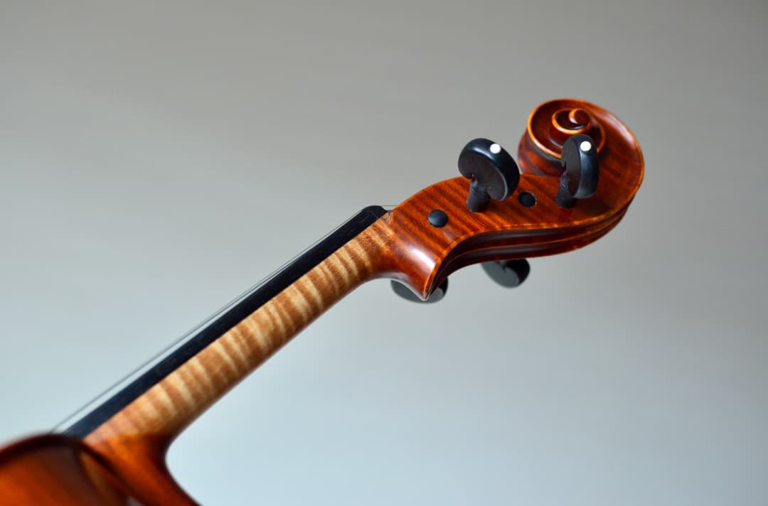 最上位 新品】Gliga Cristian Maestro バイオリン 4/4