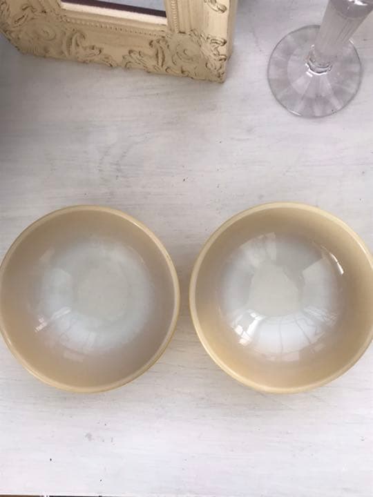 ファイヤーキング リブボトルサラダボウル2個セット