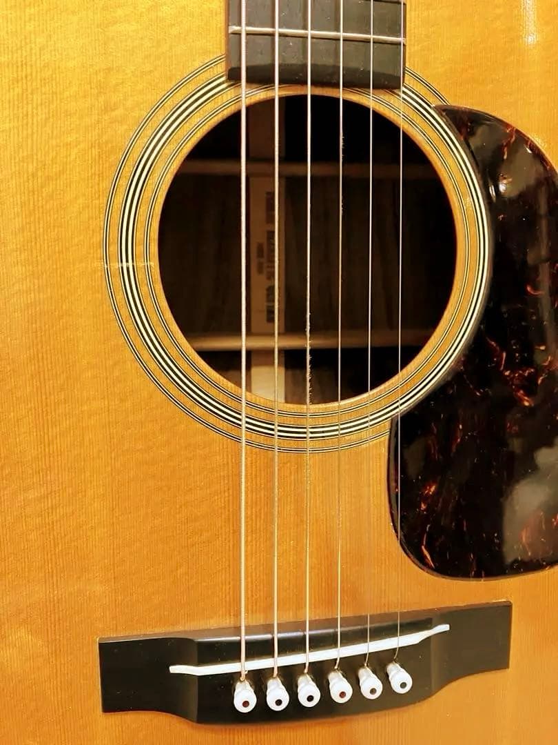 キャッツアイCE-50V HD-28Vコピーモデルトップ単板 純正ハードケース付