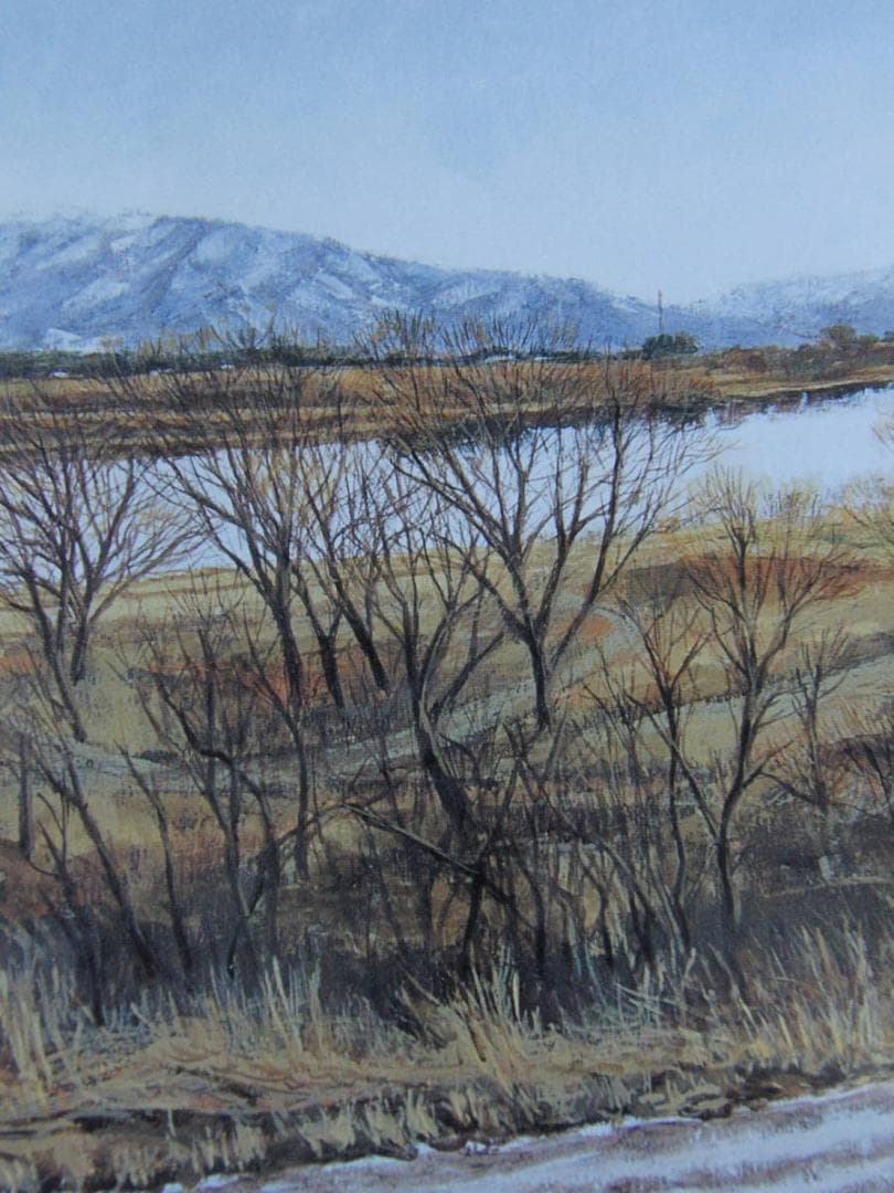 小林晋一、【萠芽】、希少な額装用画集より、新品額装付、状態良好