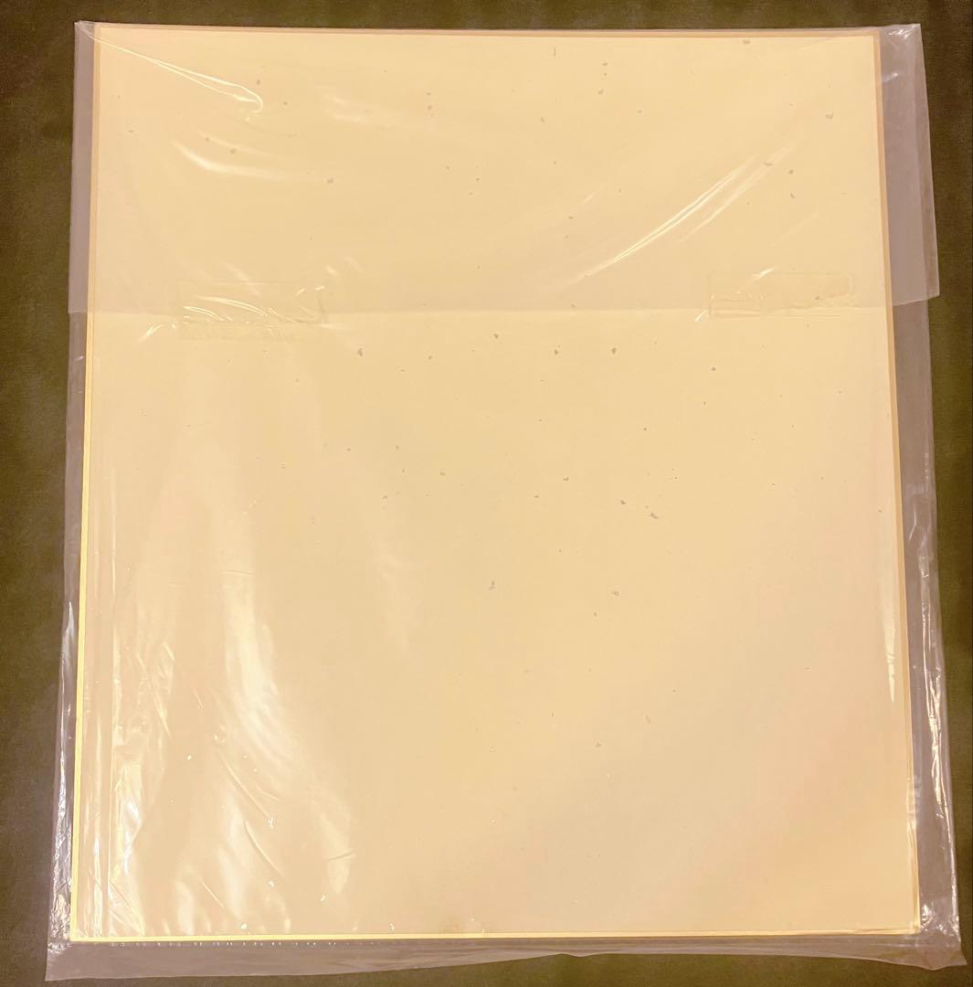 しらたま 直筆サイン色紙 ふわりちゃん しらたまこ 限定