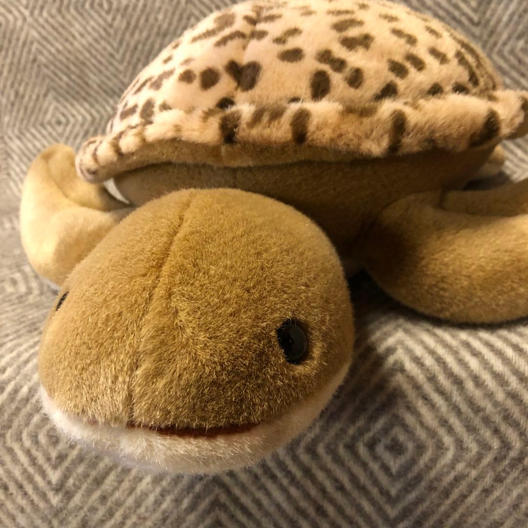 セキグチ　ウミガメ　亀　かめ　Earth Wind ぬいぐるみ