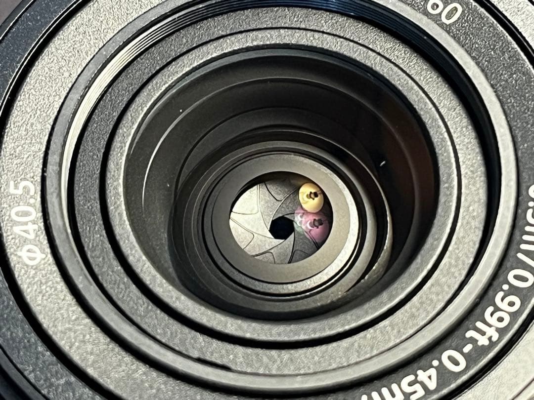 Sony FE 28-60mm f/4.5-6.3 レンズ