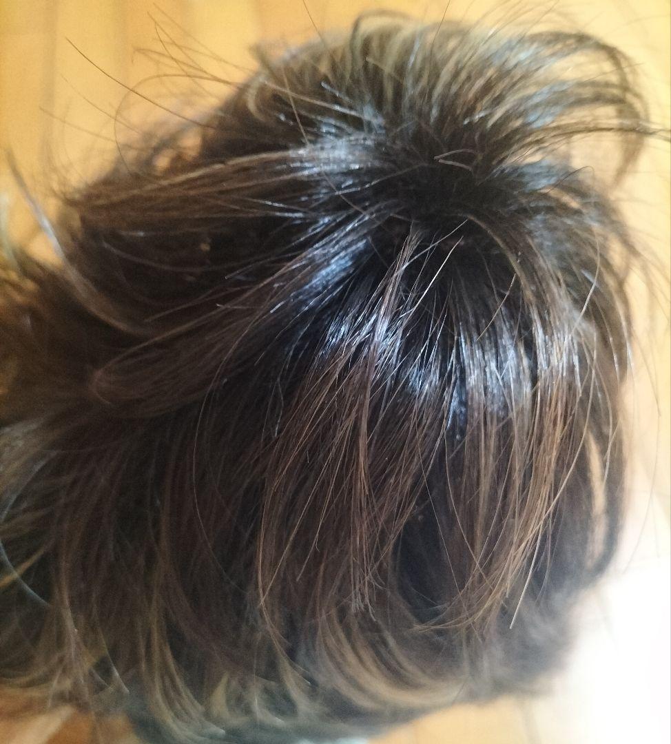 パープルプル　アデランスフォンテーヌR'couleur メッシュショート