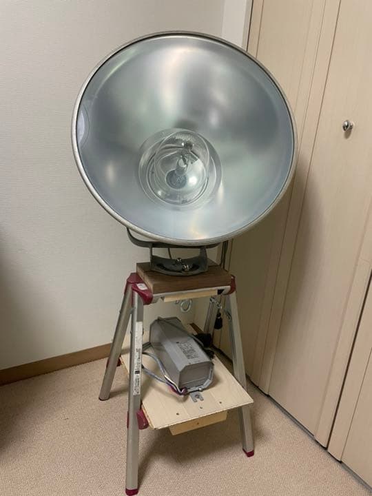 レア 新政 日本酒 天王町 箱付き 陶器瓶 希少