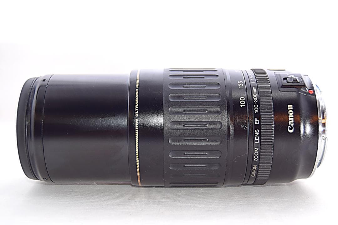 Canon キヤノン 望遠レンズ 100-300mm 迫力の300㎜！LENS テレビ
