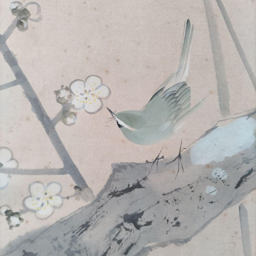 梅に鶯　英鳳　掛軸　Y272