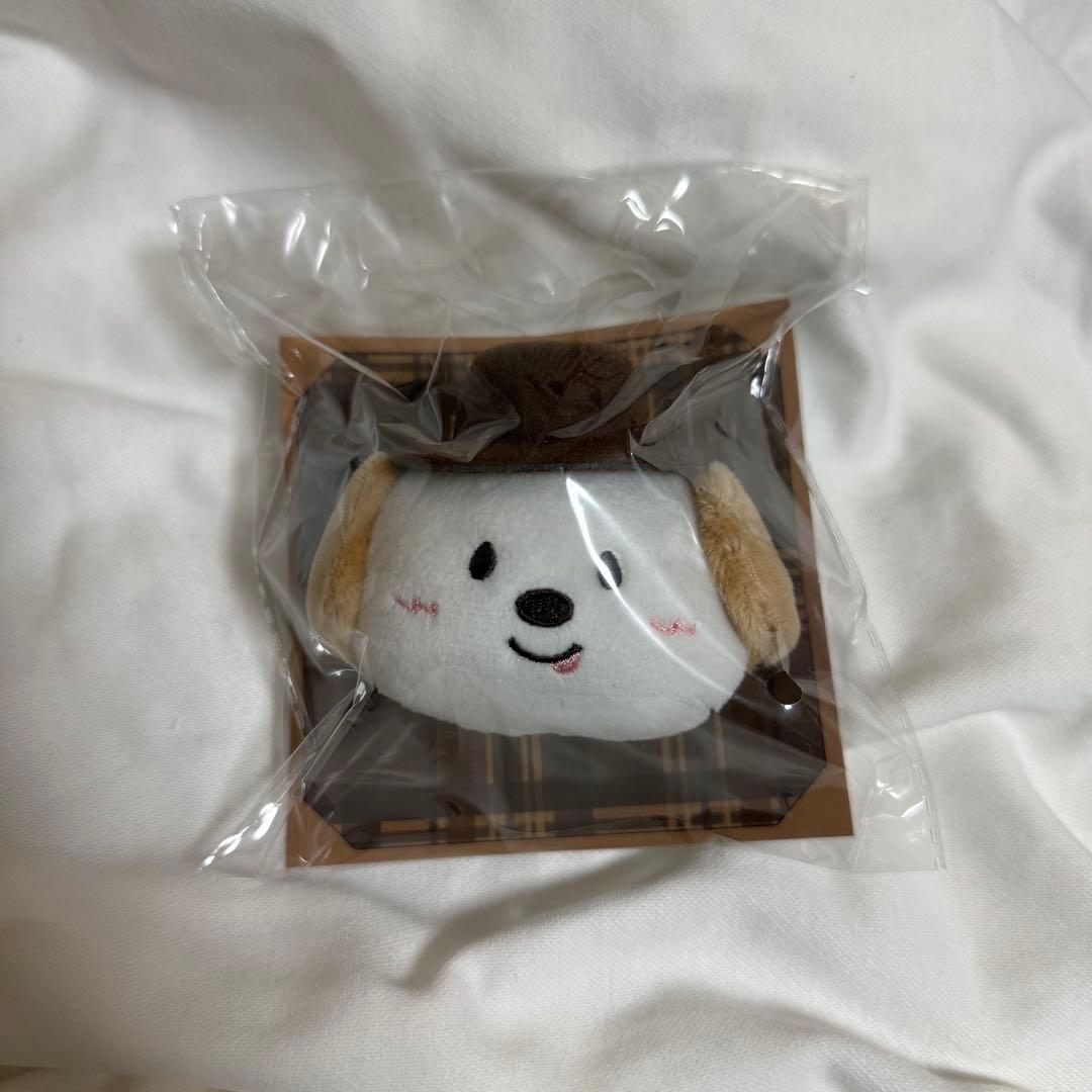 RIIZE アントン ペンミ モンリョンイ ぬいぐるみバッジ トレカ - メルカリ