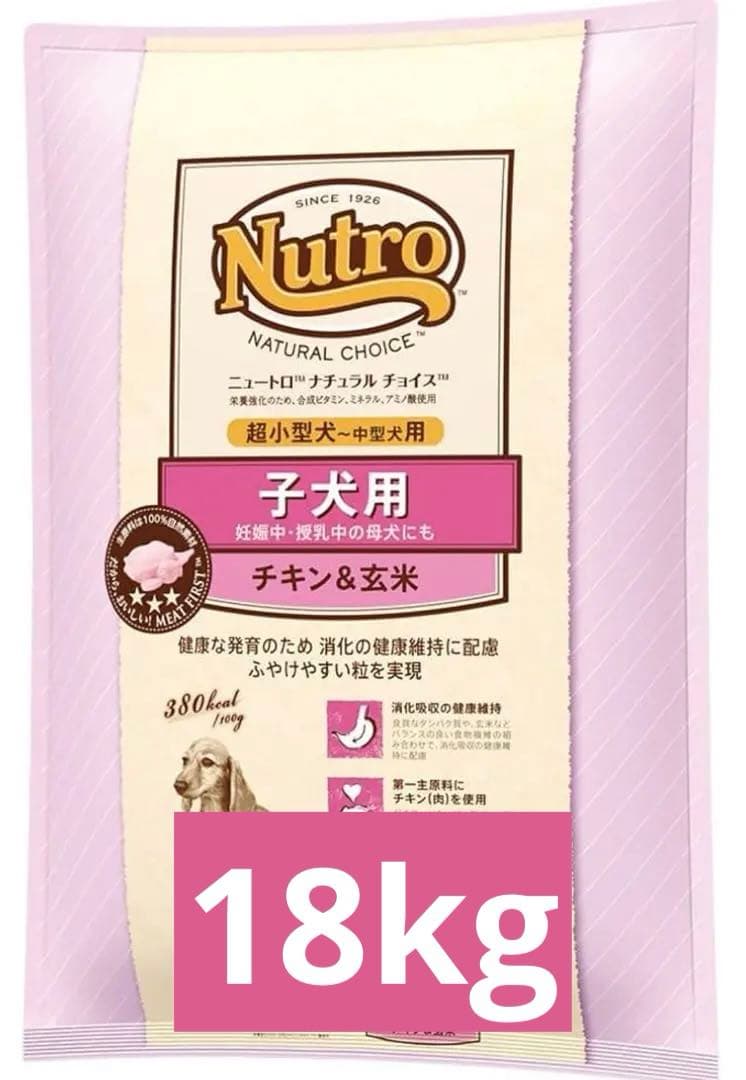 AIR DOG フリスビー HERO KOBO（42枚）