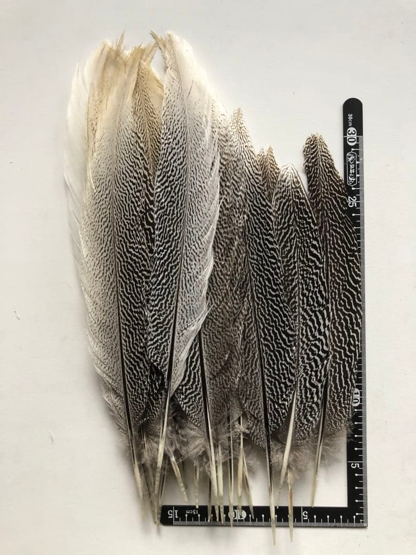 ★ABC陵央商品★80枚★消毒済★