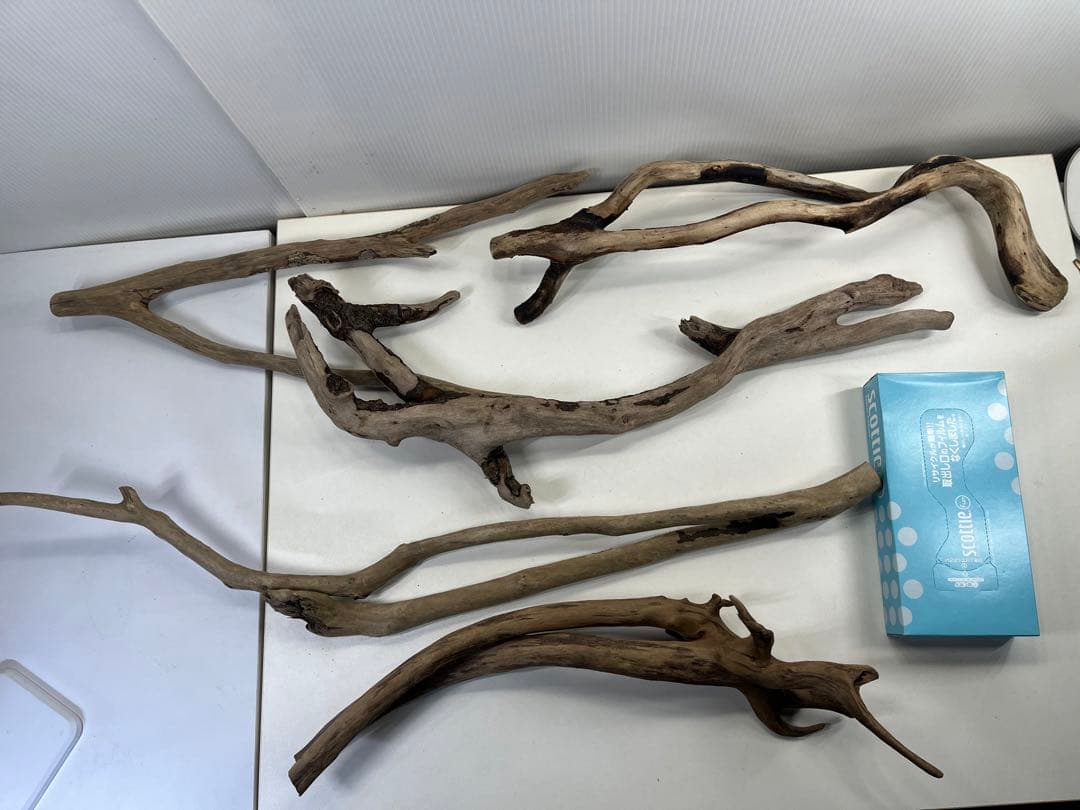 F4 アク抜き済み流木セット爬虫類シェルター 登り木 インテリア 生け花